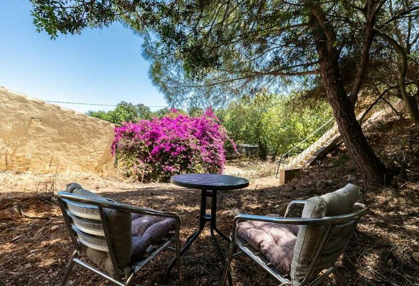 פנסיון Tavira Nature Guesthouse