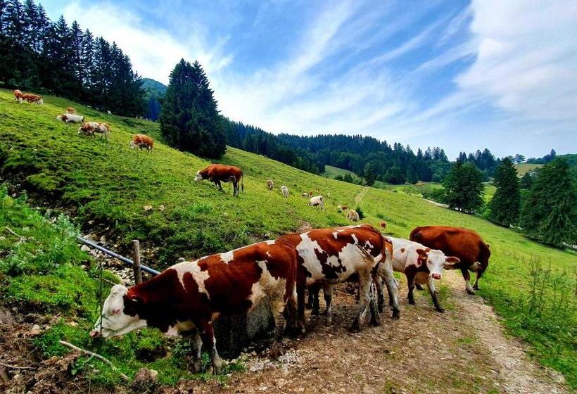 Bed and Breakfast Feinzimmer Mit Feinkost & Wein