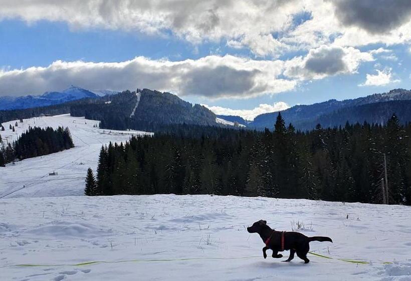 Bed and Breakfast Feinzimmer Mit Feinkost & Wein
