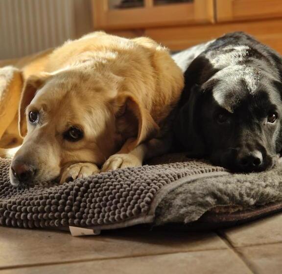 Bed and Breakfast Feinzimmer Mit Feinkost & Wein