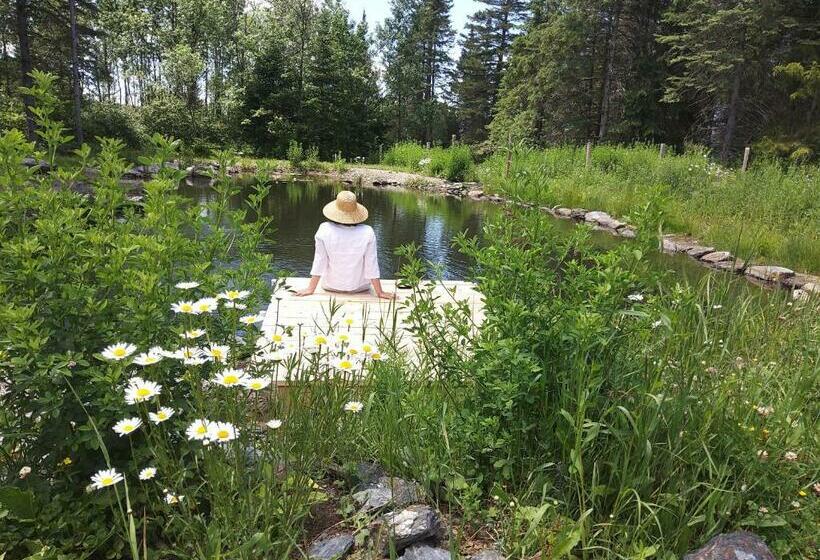 住宿加早餐 Gîte Sur L Arc En Ciel