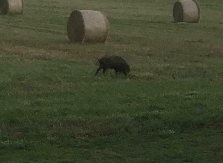 Bed and Breakfast La Maison Des Ateliers
