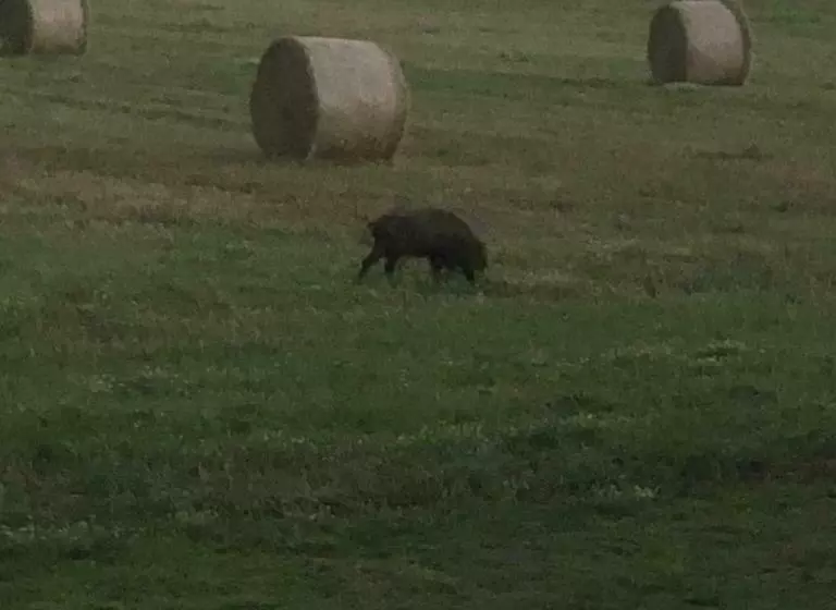 Aamiaismajoitus (B&B) La Maison Des Ateliers