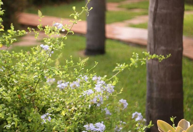 Casa Vacanze Le Terrazze