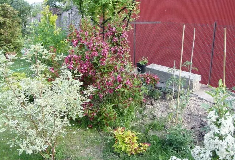 Majatalo Penzion Iga