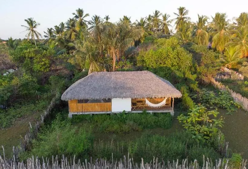 ペンション Vila Do Junco