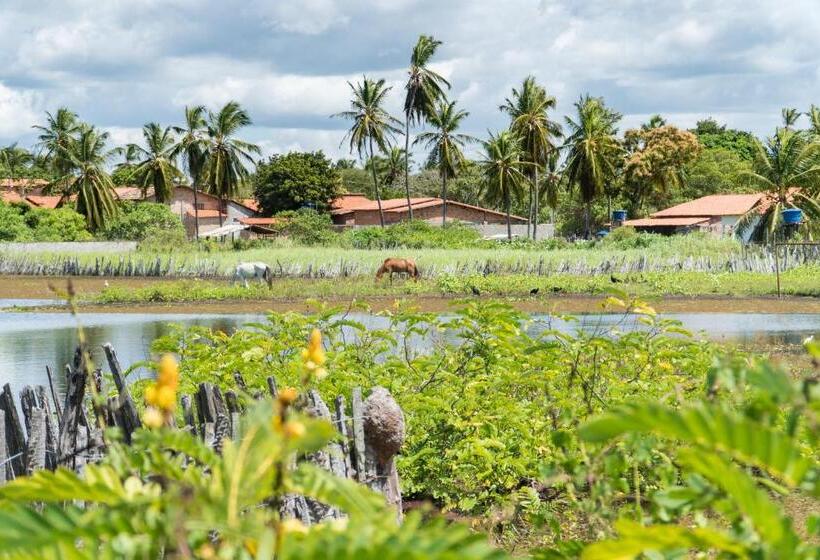 膳宿费 Vila Do Junco