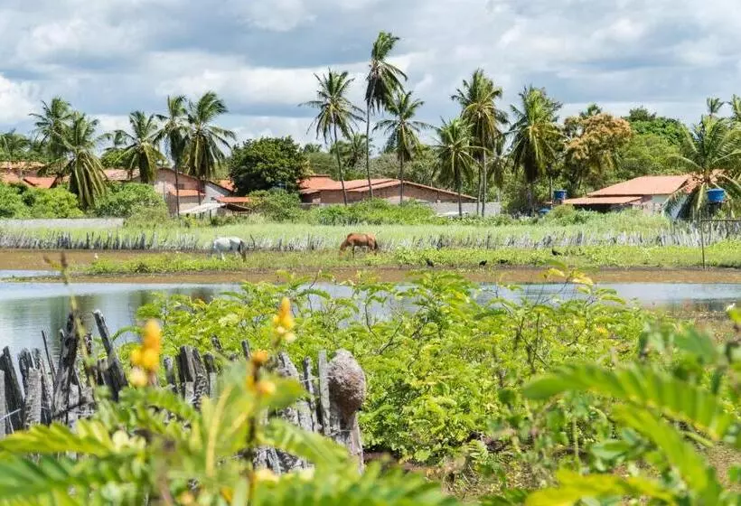 ペンション Vila Do Junco