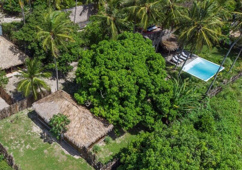 膳宿费 Vila Do Junco