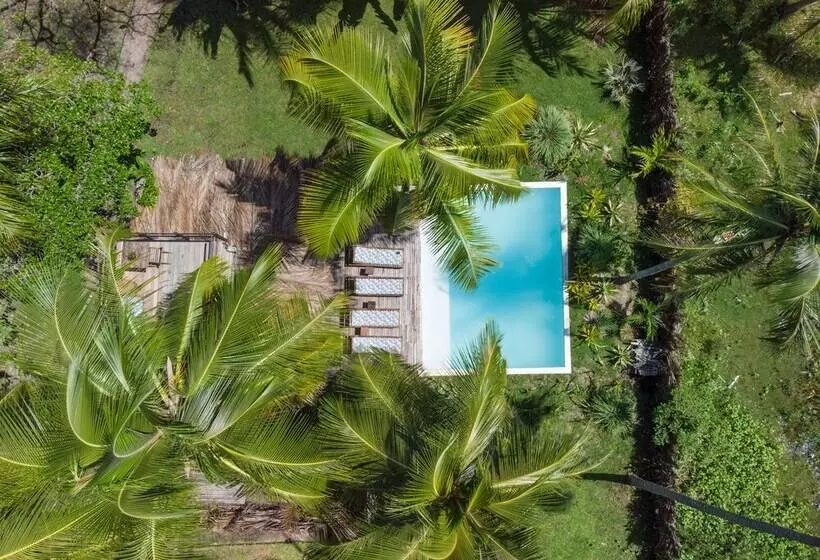 ペンション Vila Do Junco