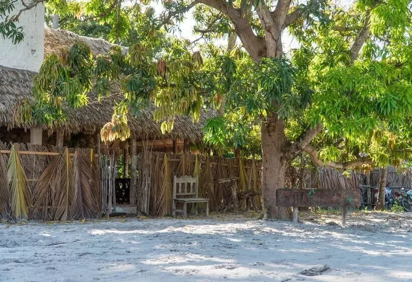 ペンション Vila Do Junco