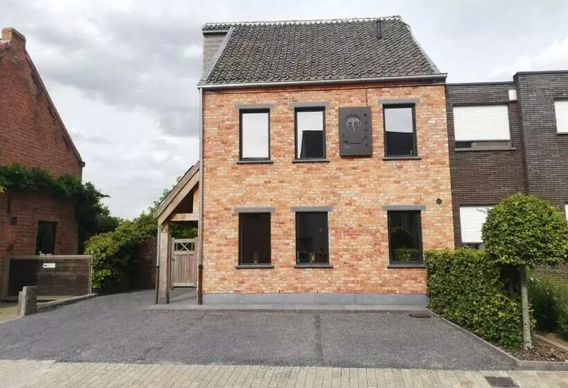 B&b Fagus