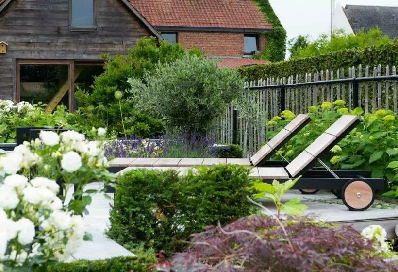 B&b Fagus