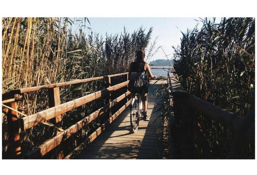 Pansiyon B&b Pothos   Eng Ita   Air Conditioning Wi Fi Fridge Netflix Local Guide   Aria Condizionata, Frigo