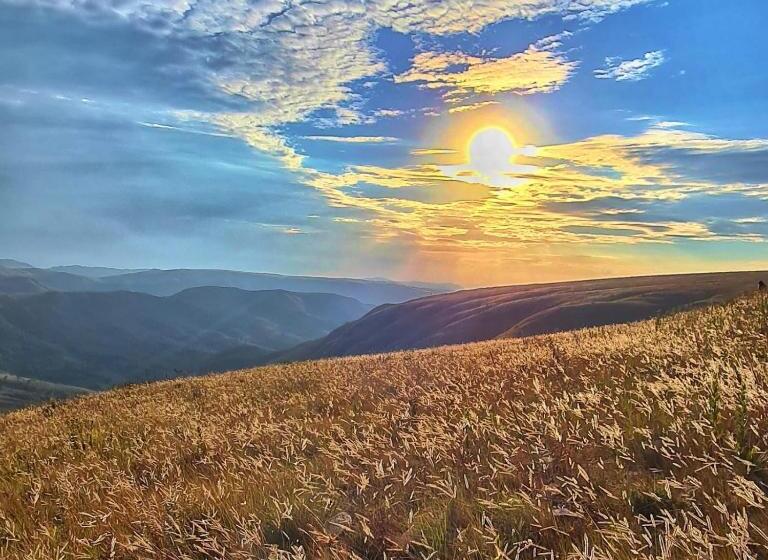 膳宿费 Pousada Pato Mergulhão