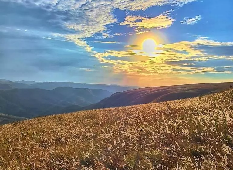 Majatalo Pousada Pato Mergulhão
