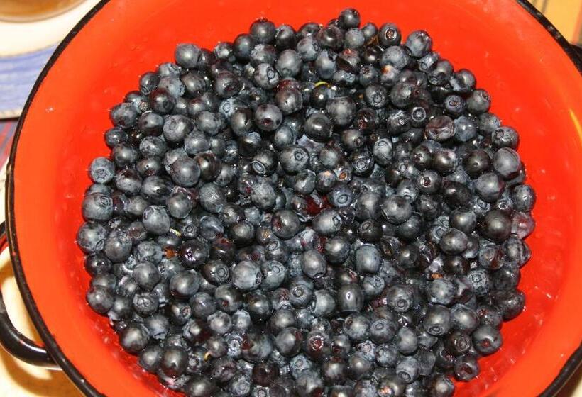 Yxkullsund Säteri B&b Manor & Estate Since 1662