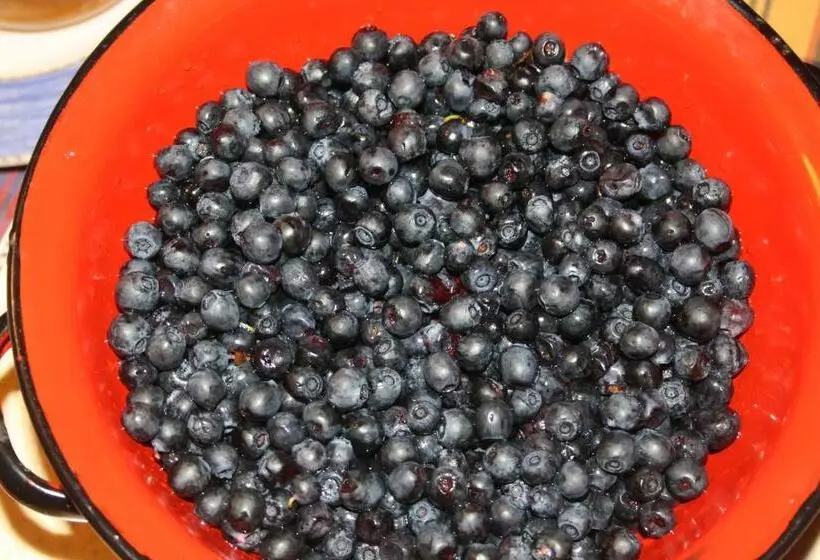 Yxkullsund Säteri B&b   Manor & Estate Since 1662