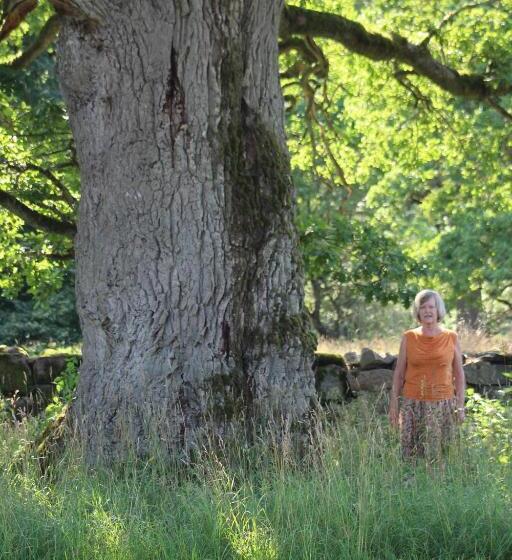 Yxkullsund Säteri B&b Manor & Estate Since 1662