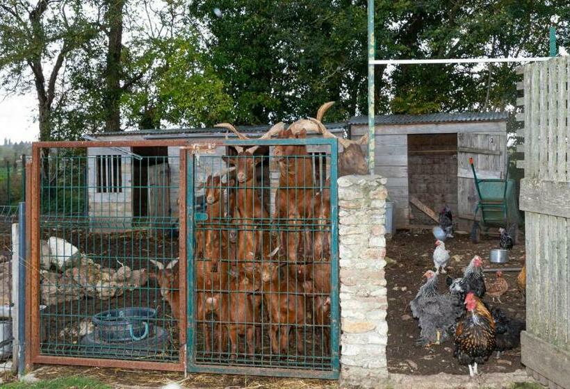 צימר Chambre D Hôtes