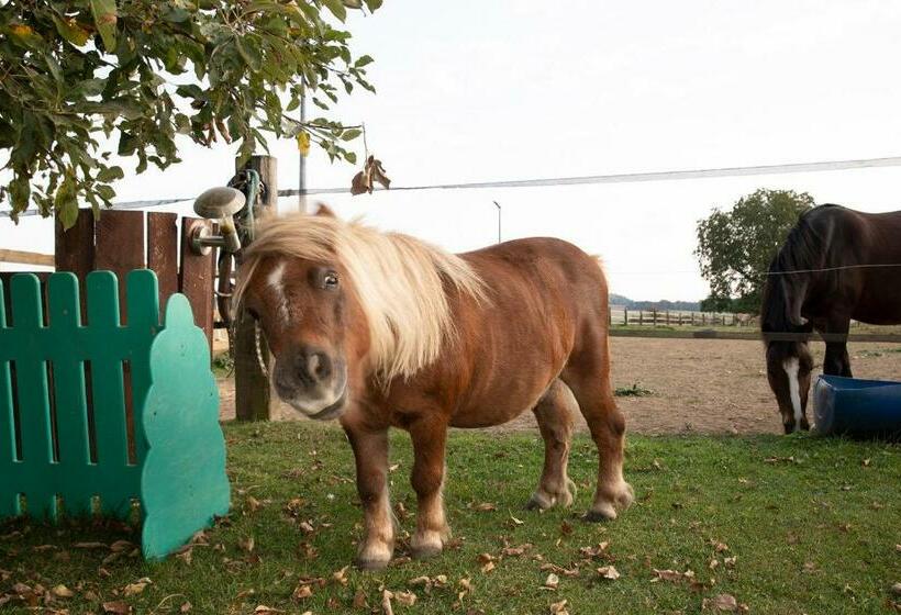 צימר Chambre D Hôtes