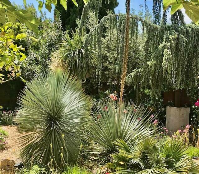 צימר Chambres D Hôtes Dans Une Maison D Artiste