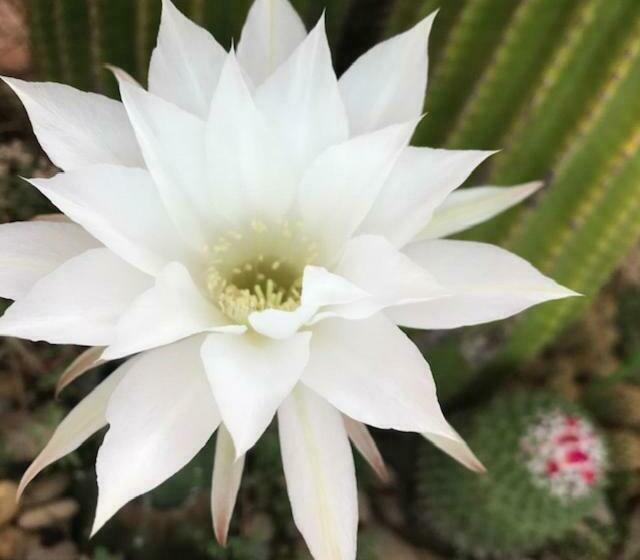 צימר Chambres D Hôtes Dans Une Maison D Artiste