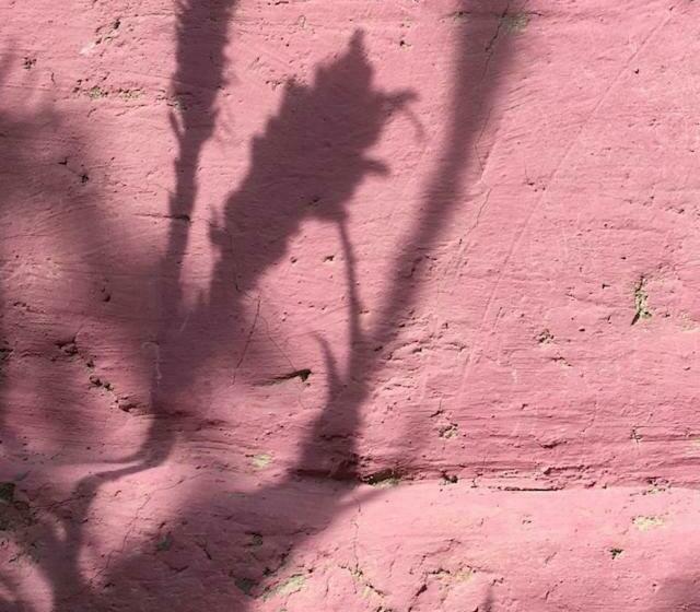 צימר Chambres D Hôtes Dans Une Maison D Artiste