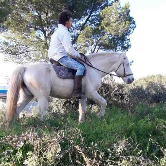 צימר Chambres D Hôtes Dans Une Maison D Artiste