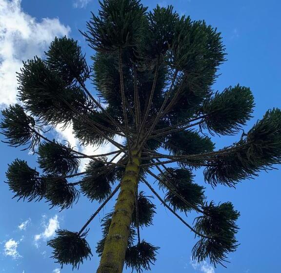 Пансион Paz Na Montanha