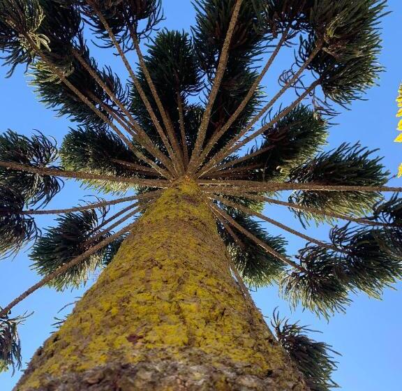 Пансион Paz Na Montanha