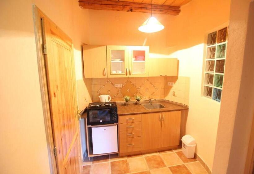 פנסיון Penzion Stará škola