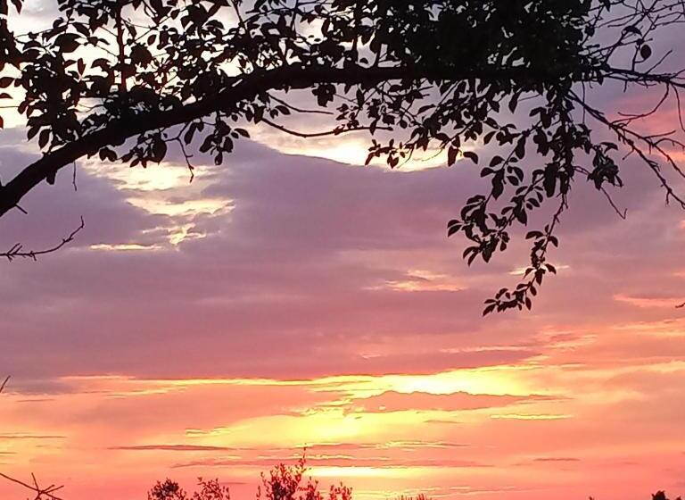 펜션 Tra Grilli E Cicale