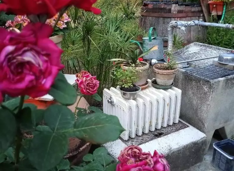 Pensió Tra Grilli E Cicale