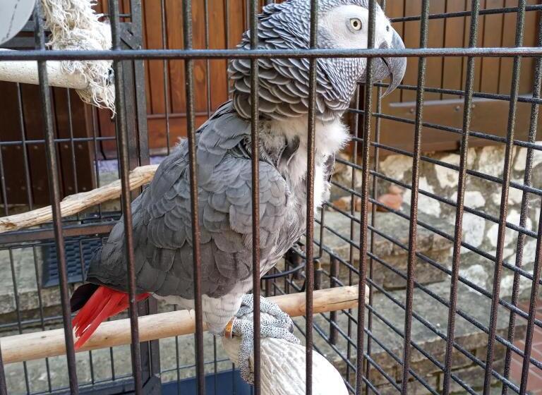 펜션 Tra Grilli E Cicale