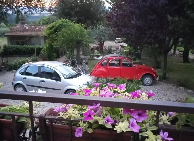 Pensió Tra Grilli E Cicale