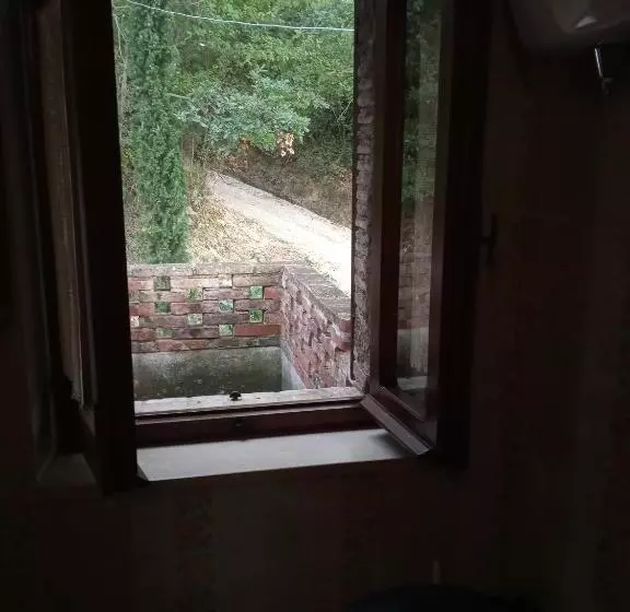 Pensió Tra Grilli E Cicale