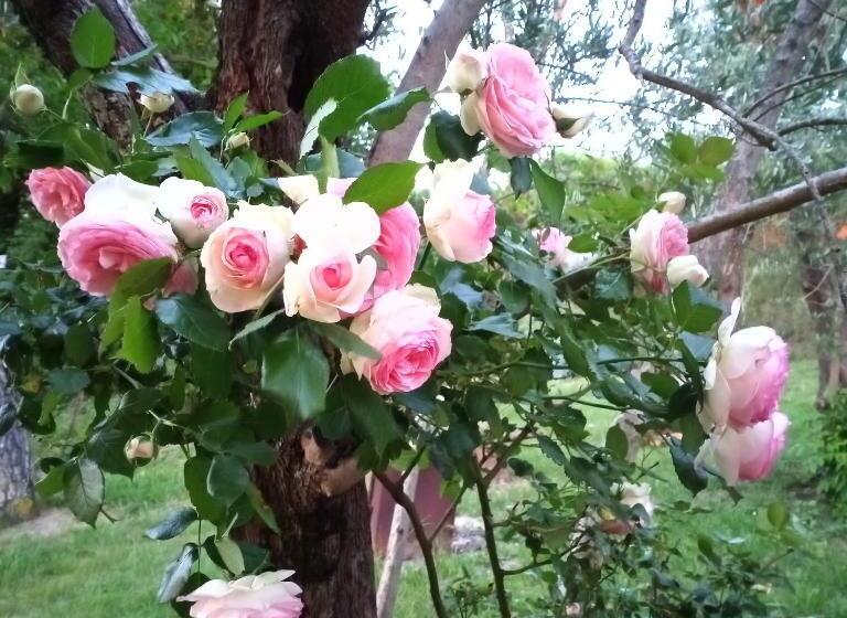 펜션 Tra Grilli E Cicale