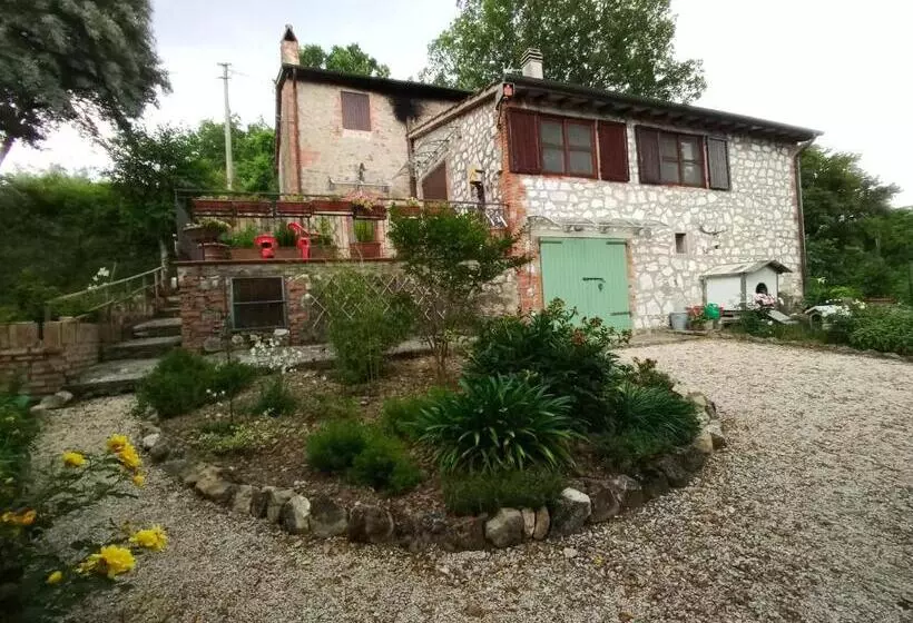 Pensió Tra Grilli E Cicale