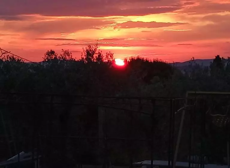 Pensió Tra Grilli E Cicale