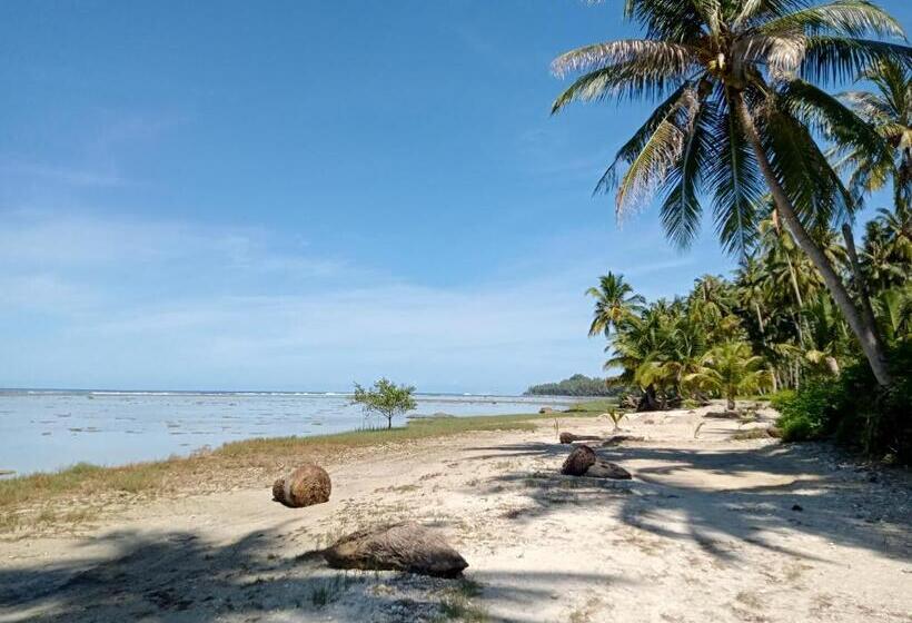 פנסיון Yohanes Guest House Sorake Surf Nias