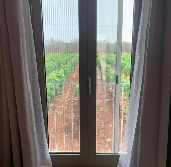 B&b Casa Caleta