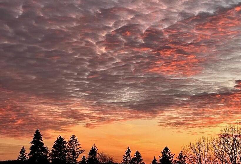 酒店 Hôtel Restaurant Les Cernets Swiss Lodge Ssh