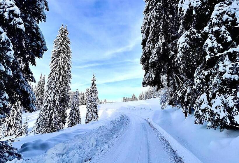 酒店 Hôtel Restaurant Les Cernets Swiss Lodge Ssh