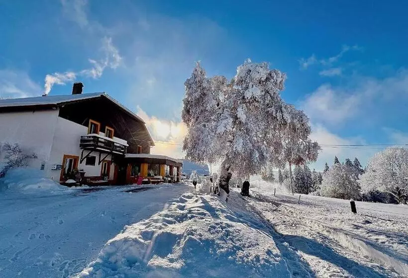 ホテル Hôtel Restaurant Les Cernets Swiss Lodge Ssh