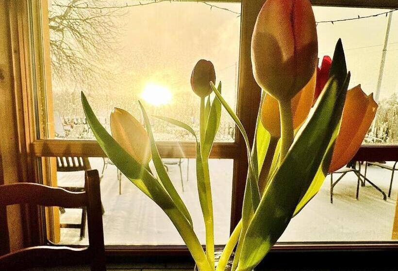 酒店 Hôtel Restaurant Les Cernets Swiss Lodge Ssh