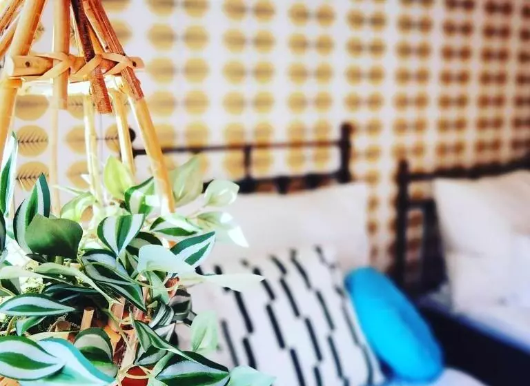 Hotelli Villa Vintage B&b