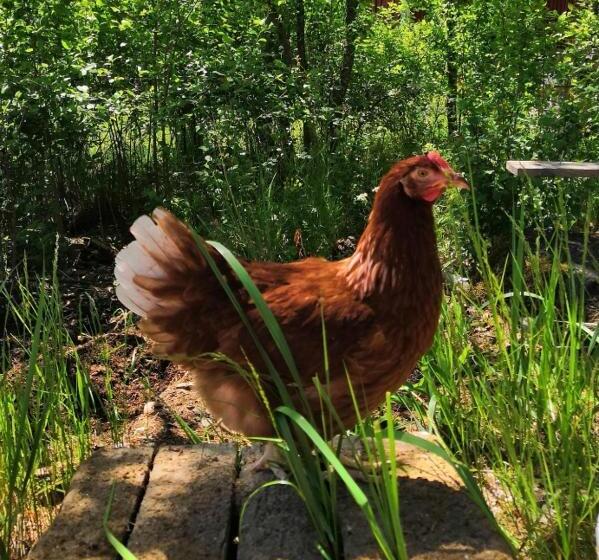 ホテル Villa Vintage B&b