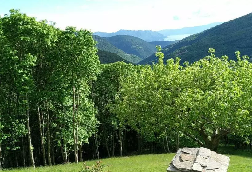 Majatalo I Viaggi Del Lea