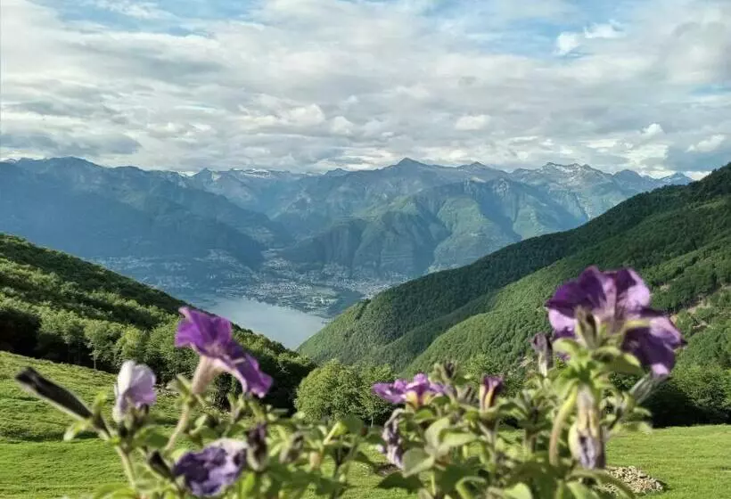 Majatalo I Viaggi Del Lea